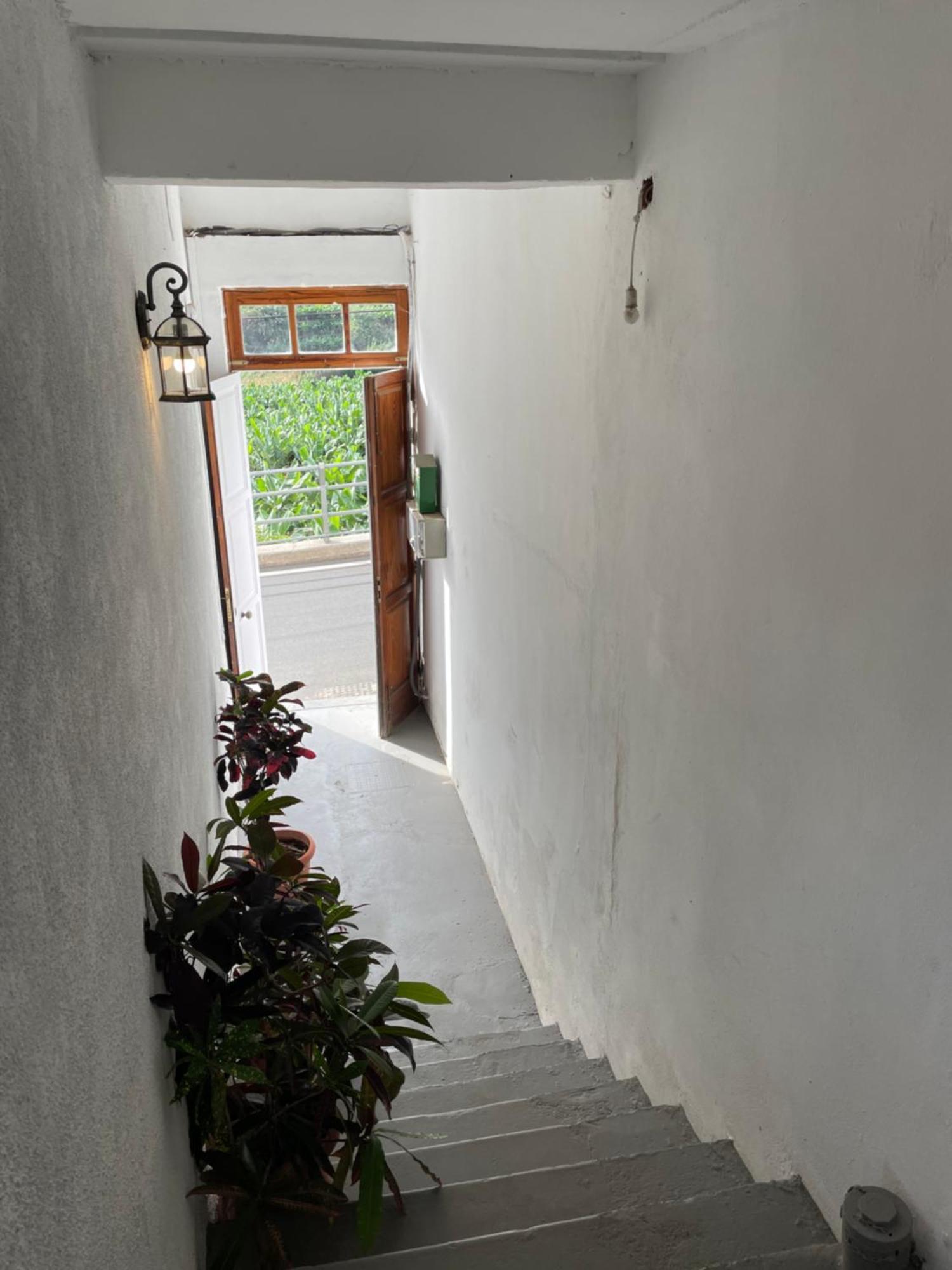 Finca Santa Catalina Hermigua Dış mekan fotoğraf